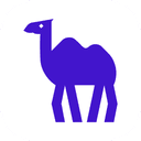 CAMEL logo