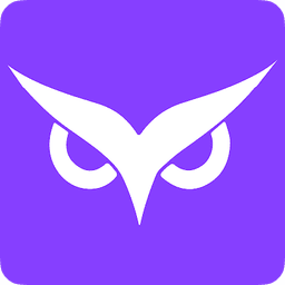 Owlity logo